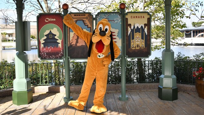 Pluto posing for a photo under a gazebo near World Showcase Plaza at EPCOT