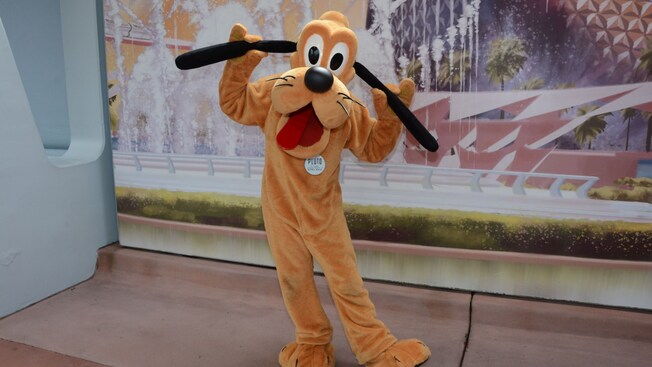 Pluto posing and pulling his ears at the Main Entrance of Epcot