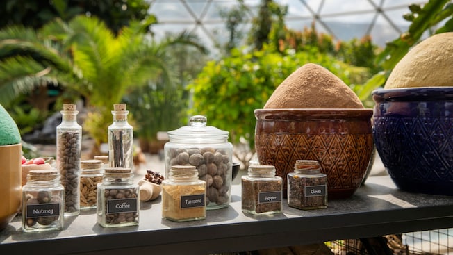 Several small containers with labels that say, ‘Nutmeg’, ‘Coffee’, ‘Turmeric’, ‘Pepper’ and ‘Cloves’