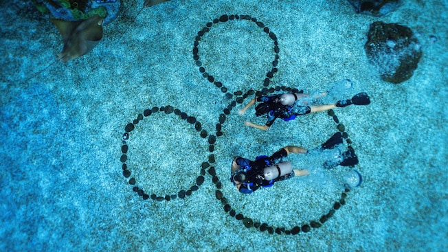 Scuba divers floating above the sandy floor of a aquarium tank, with the Mickey Mouse logo made from stones  