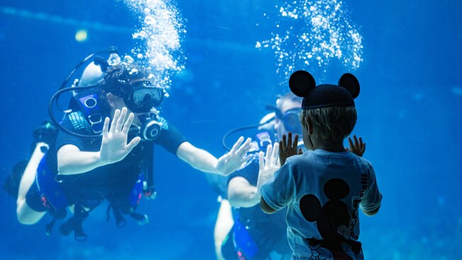 Two scuba divers waving at a young boy pressing his hands against the glass of an aquarium tank   
