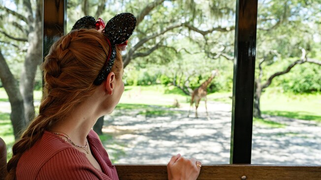 Una mujer ve a una jirafa desde un tranvía en Harambe Wildlife Preserve