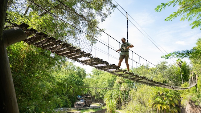 Una persona cruza un puente colgante sobre Safi River Valley en Disney's Animal Kingdom Theme Park