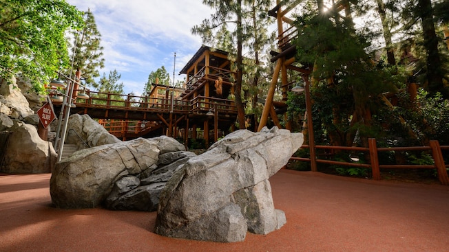 Redwood Creek Challenge Trail