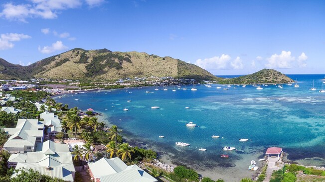 Waterfront houses with palm trees and a mountain overlooking the Caribbean Sea