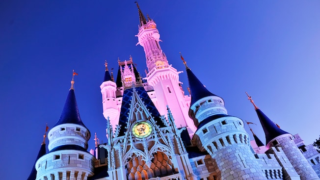 灰姑娘城堡（Cinderella Castle）