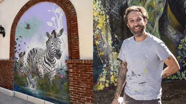 A triptych on a wall at Disney Springs filled with elephants, tigers and zebras. Artist Ernesto Maranje stands in front of a mural smiling and holding a can of spray paint.