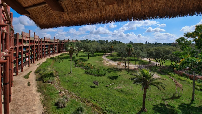 Disney's Animal Kingdom Villas - Jambo House
