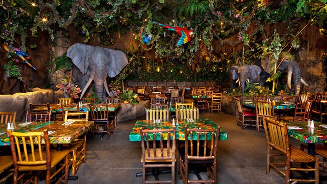 Rainforest Cafe Disney Springs Walt Disney World Resort