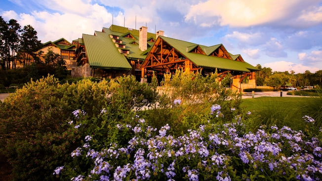 Wilderness Lodge — foto 11