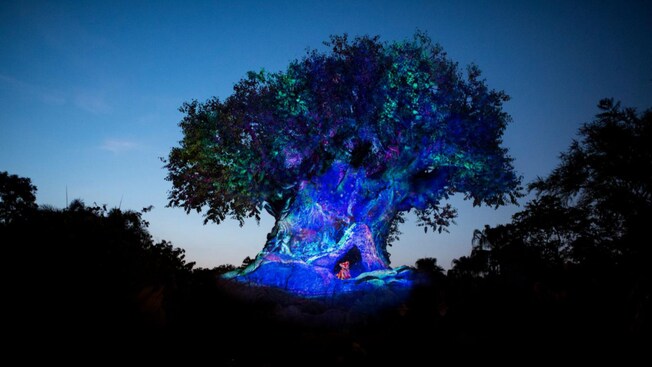 The Tree of Life at Disney’s Animal Kingdom theme park, illuminated at night