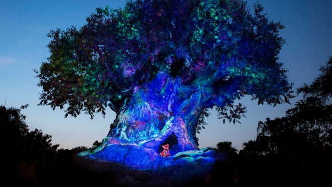The Tree of Life at Disney’s Animal Kingdom theme park, lit up with projections at night