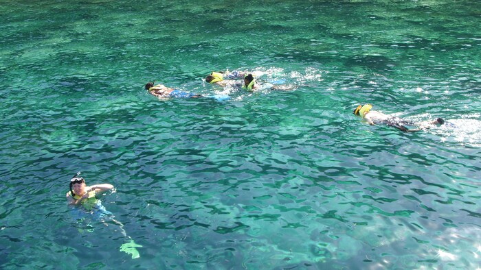 St. Kitts Sail and Snorkel | Disney Cruise Line