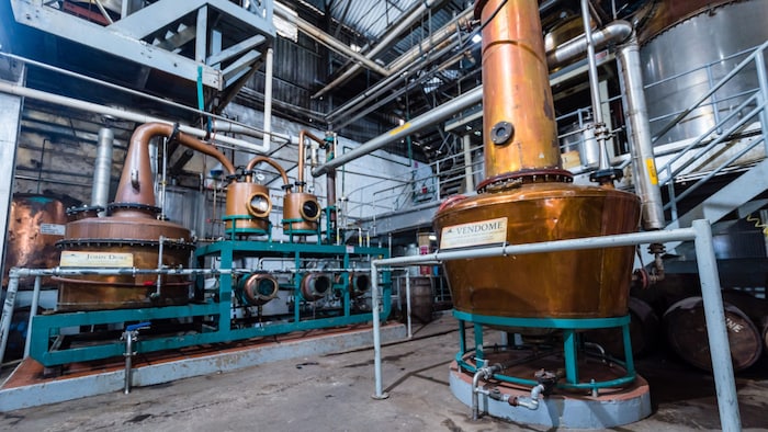 St. Lucia Bamboo Rafting: Adults-Only | Port Adventures | Disney Cruise ...