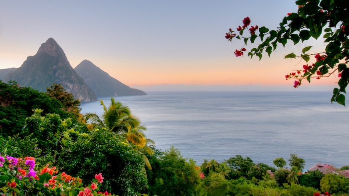 Les sommets des montagnes descendent vers une baie tandis que la végétation tropicale et les fleurs fleuries bordent le premier plan