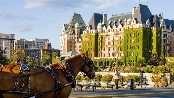 Un immeuble d’appartements de plusieurs étages avec un toit pointu et des murs recouverts de lierre se trouve au-dessus d’une place