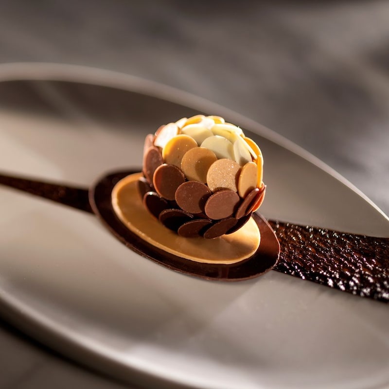 Un spectre de chocolat sur une assiette décorée de sauce au chocolat