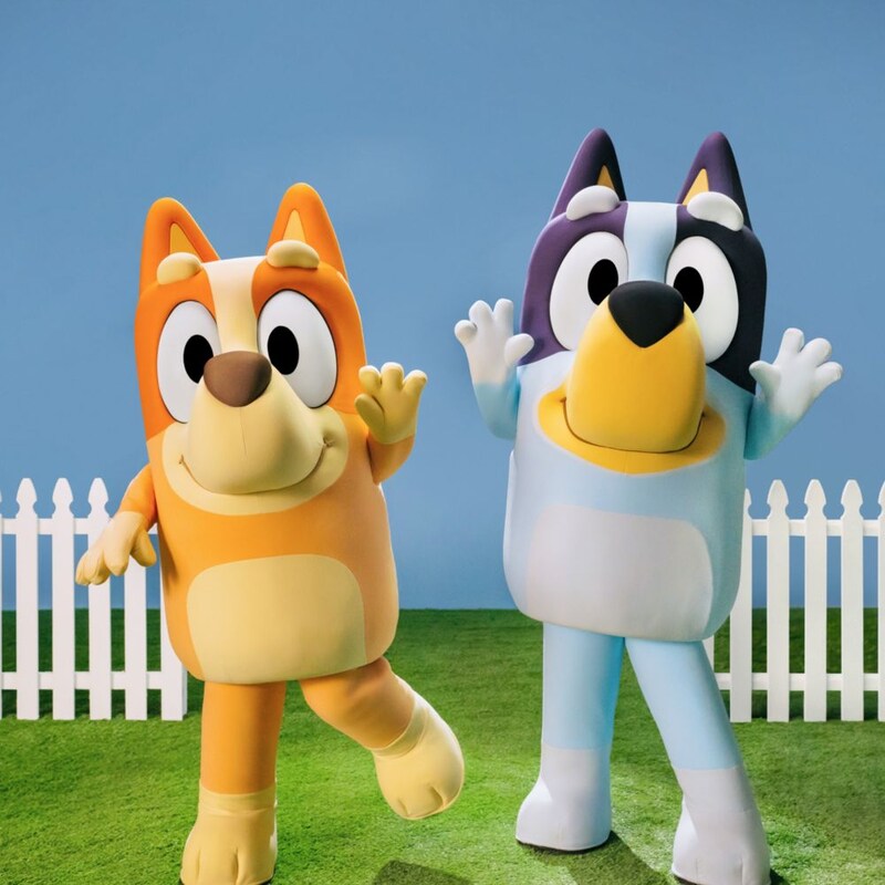 Bingo y Bluey saludan delante de una valla de madera