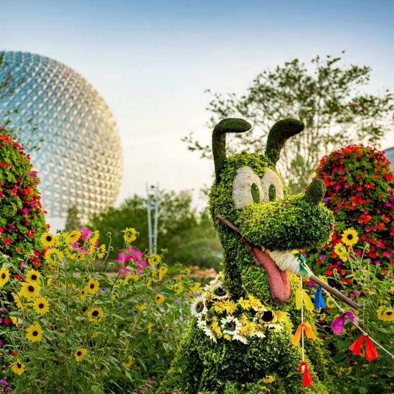 Flowers and shrubs arranged to look like Pluto as he holds a string in his mouth at the Epcot International Flower & Garden Festival