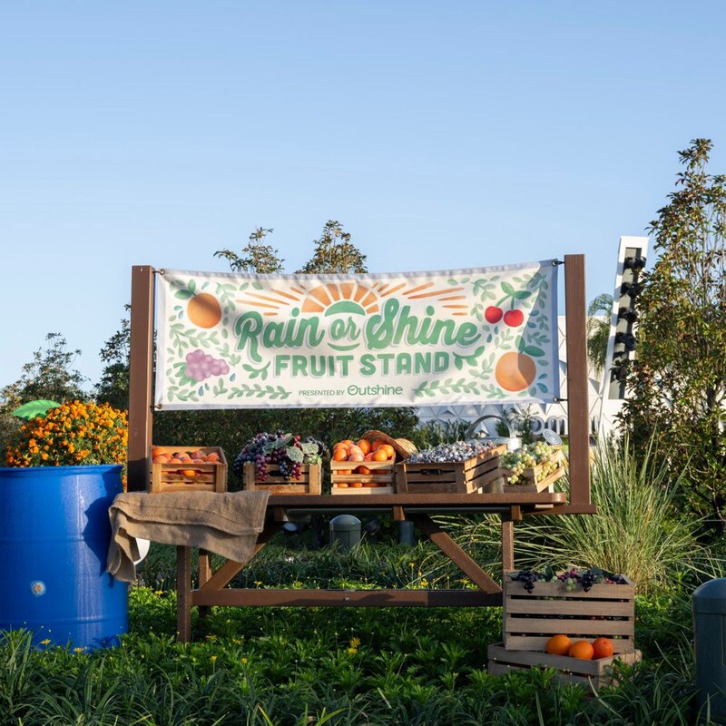A section of the Rain or Shine Fruit Stand presented by Outshine during the Epcot International Flower and Garden Festival