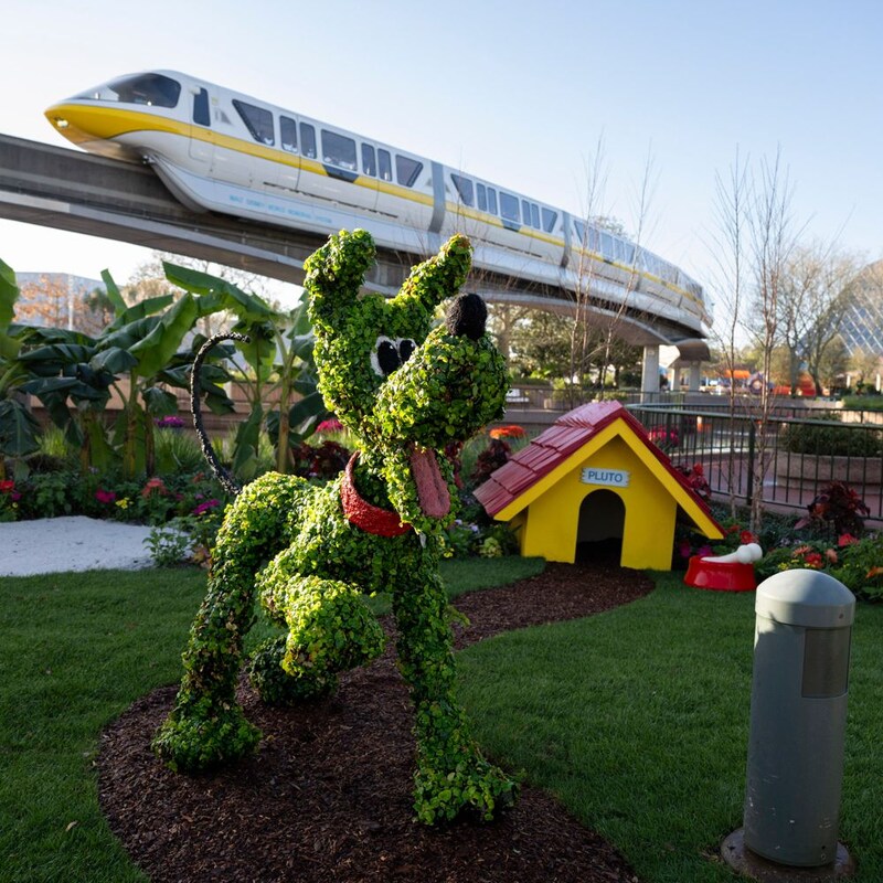 A pet friendly garden featuring a Pluto topiary near a section of the Epcot Monorail 	