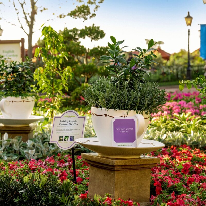 A section of the English Tea Garden dedicated to Earl Grey Lavender Tea during the Epcot International Flower and Garden Festival