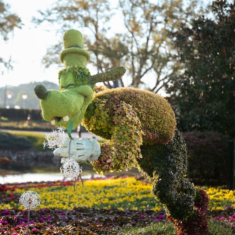 A topiary figure of Goofy at the EPCOT International Flower and Garden Festival