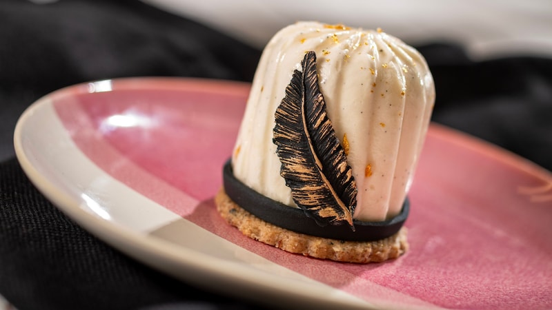 The Sparkling Spectacle Gateau cake decorated with an edible feather decoration