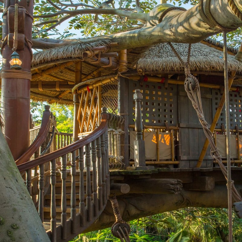 The Swiss Family Treehouse