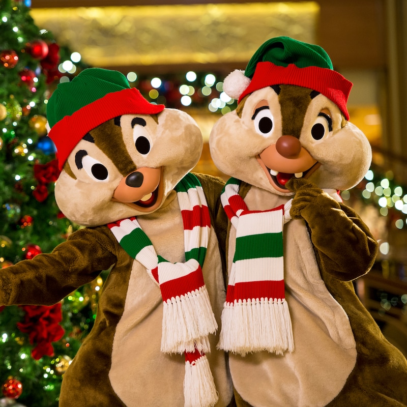 Chip and Dale wearing holiday scarves and hats pose in front of a Christmas tree