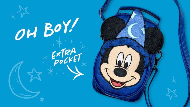 ウォルト・ディズニーワールド　ポンチョ ディズニーワールドファン.JP (@DisneyWorldJp) / X