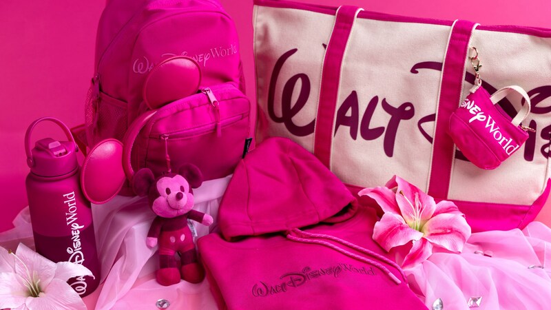 Walt Disney World merchandise, including a hoodie, backpack, tote bag, water bottle and Mickey Mouse ear headband