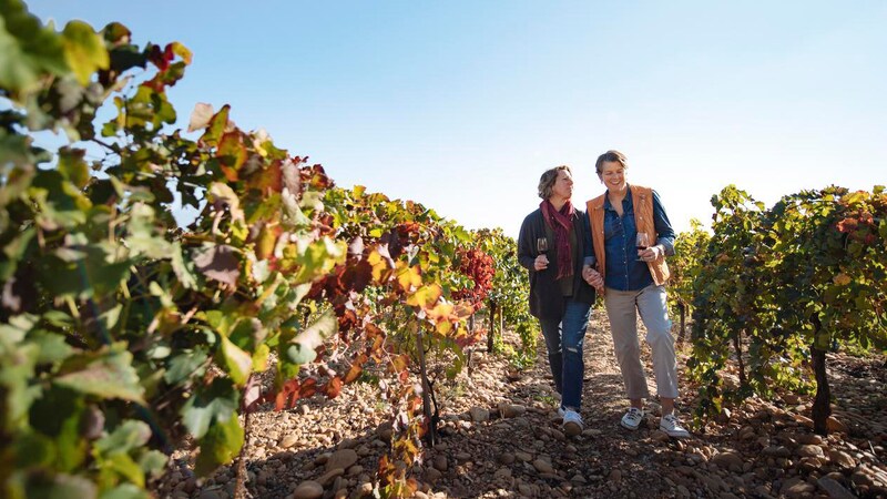 Two women with glasses of wine holding hands while walking on a path through rows of vines in a vineyard