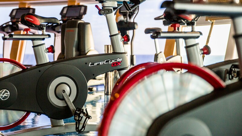 Detail showing LifeCycle GX logo on spinning machine