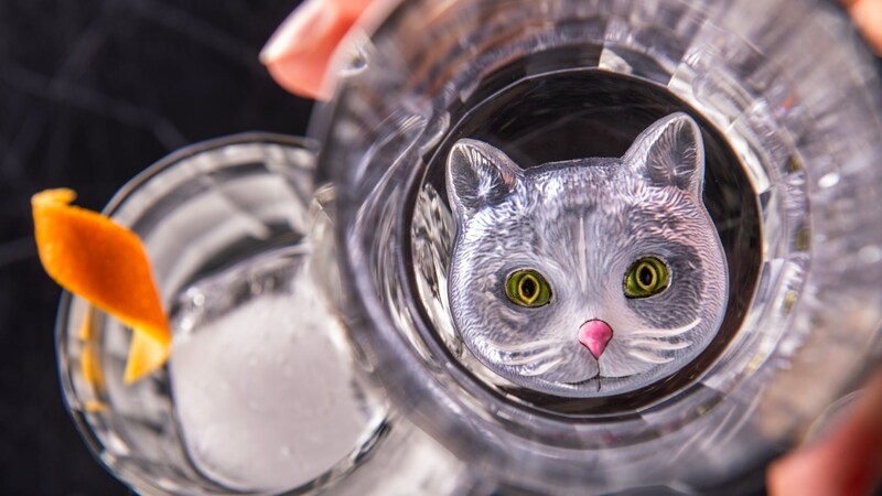 Two glasses, one filled with The Cat cocktail and one with a cat's face etched in the bottom