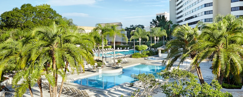 A large swimming pool area at a resort with deck chairs, umbrellas and many palm trees