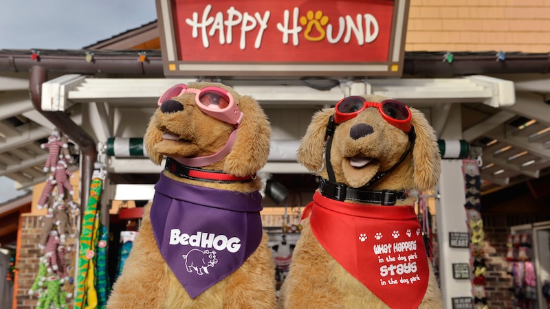 Two plush toy dogs wear accessories including sunglasses, collars and neckerchiefs outside Happy Hound