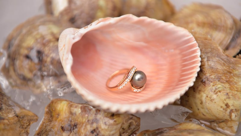 A pearl set in a ring is displayed on a half oyster shell