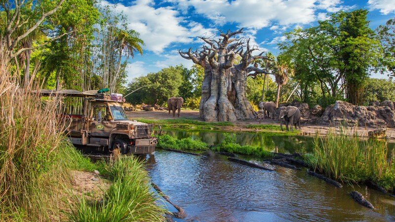 Kilimanjaro Safaris at Animal Kingdom