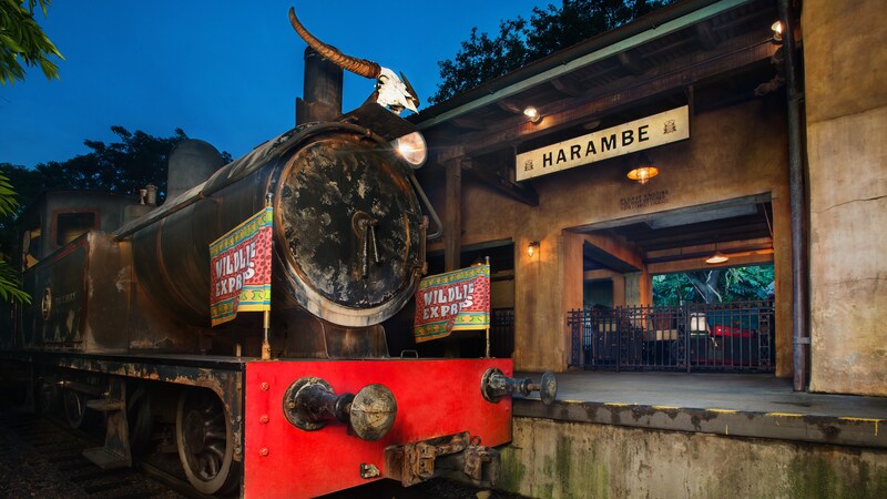 Wildlife Express Train at Animal Kingdom