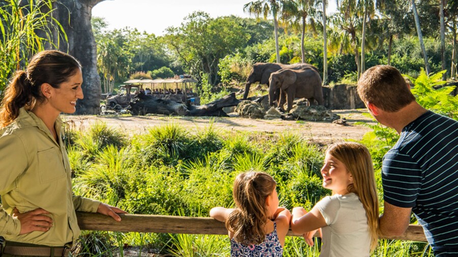 A man, woman and 2 young girls watching elephants at Disney’s Animal Kingdom theme park