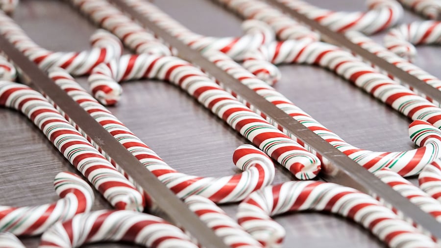 Multiple rows of candy canes