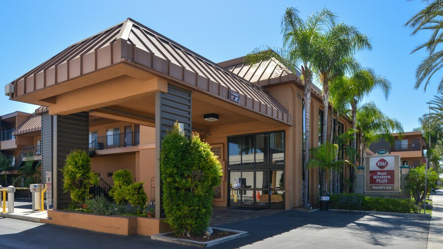 Best Western Plus hotel entrance framed by palm trees