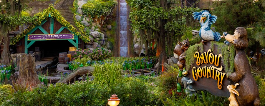 The big drop at Tiana's Bayou Adventure and a sign that reads 'Bayou Country' surrounded by lush vegetation