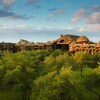 The treetops and thatched roofs of Disney's Animal Kingdom Lodge at daybreak