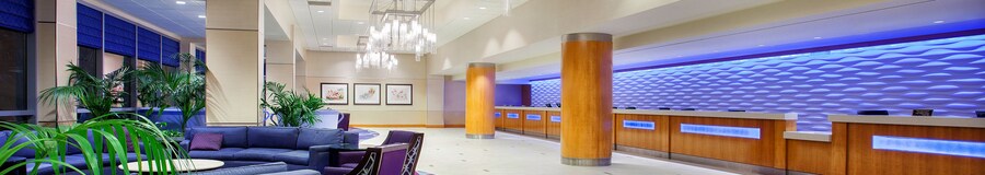 Amenities Services At Disneyland Hotel Disneyland Resort