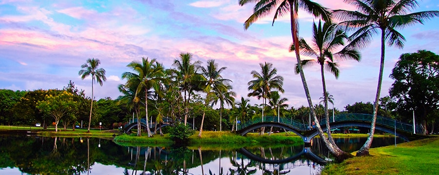 Arched bridges and palm trees cast their reflections in the water at Hilo Bayfront Park Arched bridges and palm trees cast their reflections in the water at Hilo Bayfront Park