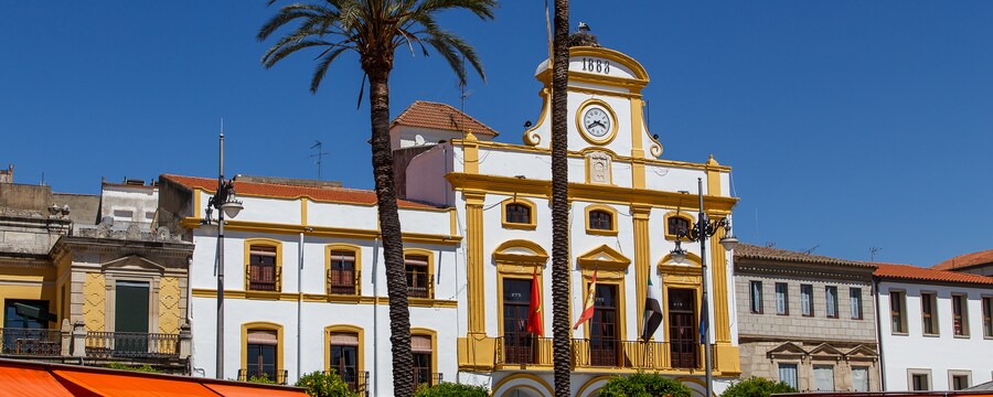 Plaza Mayor, un área de tiendas al aire libre con palmeras altas, edificios históricos españoles y personas sentadas en mesas de un café bajo la sombra.