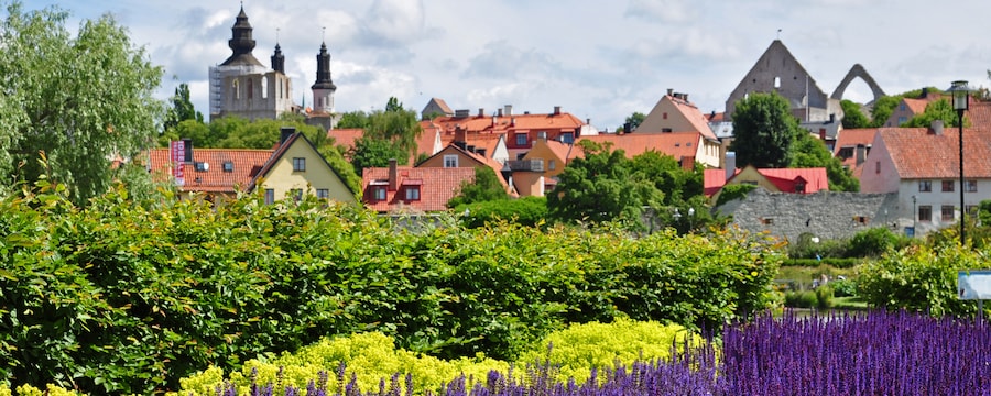 Century old buildings amid lush foliage and lavender bushes Century old buildings amid lush foliage and lavender bushes