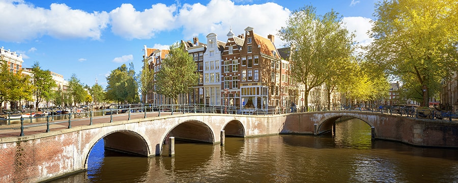 A canal in Amsterdam by a street featuring buildings, trees and bicycles A canal in Amsterdam by a street featuring buildings, trees and bicycles